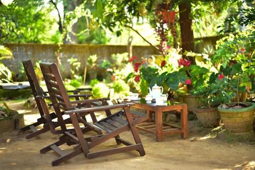 Outdoor Pictures 10