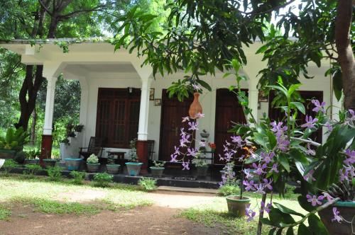 sigiriya flower guest