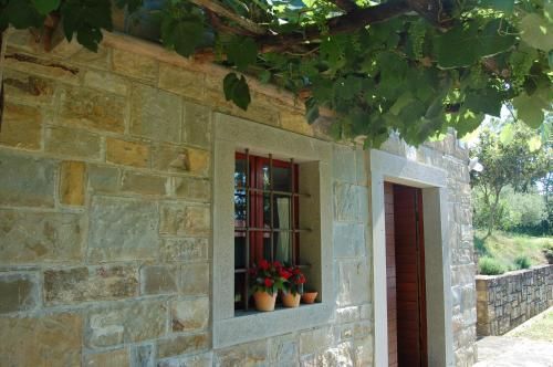 Outdoor Pictures 14