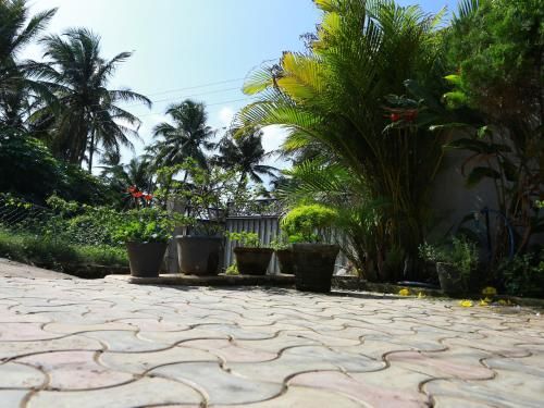 Outdoor Pictures 5