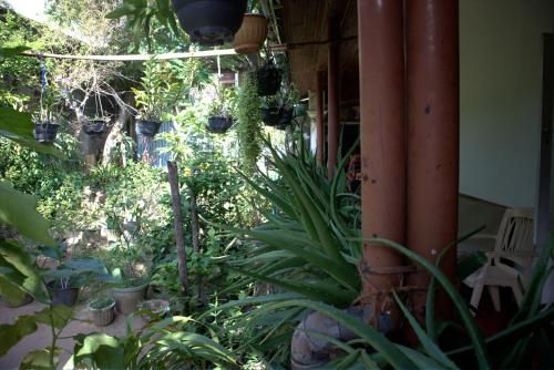 Outdoor Pictures 6