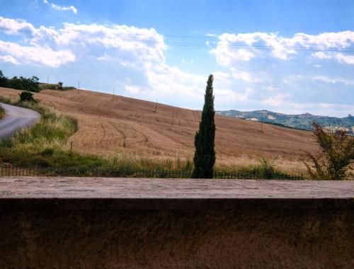 Outdoor Pictures 17