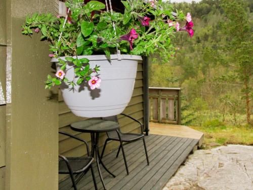 Outdoor Pictures 8