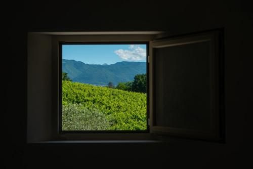 Outdoor Pictures 14