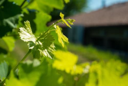 Outdoor Pictures 16