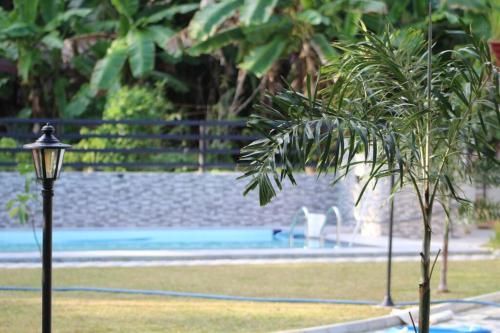 Outdoor Pictures 16