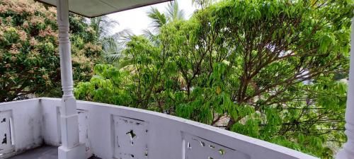 Outdoor Pictures 15