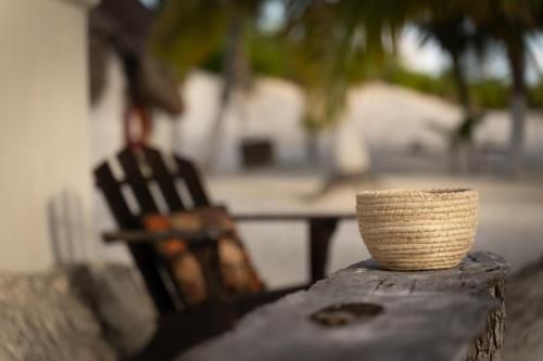 Outdoor Pictures 7
