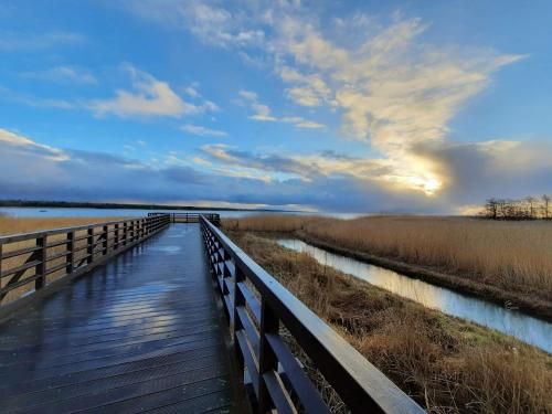 Outdoor Pictures 7