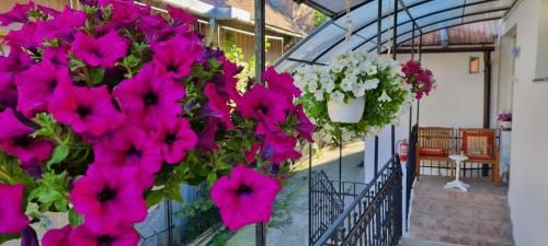 Outdoor Pictures 12