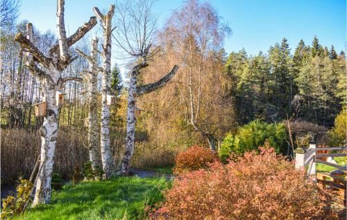 Outdoor Pictures 22