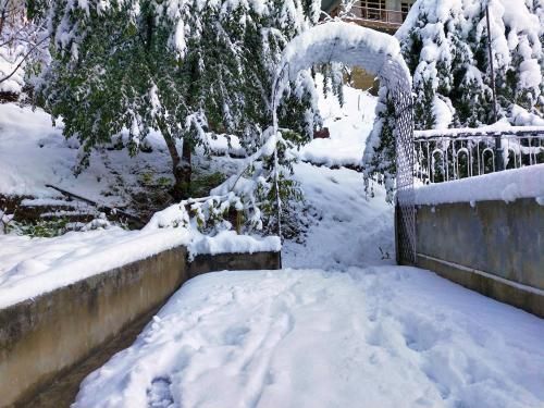Outdoor Pictures 20