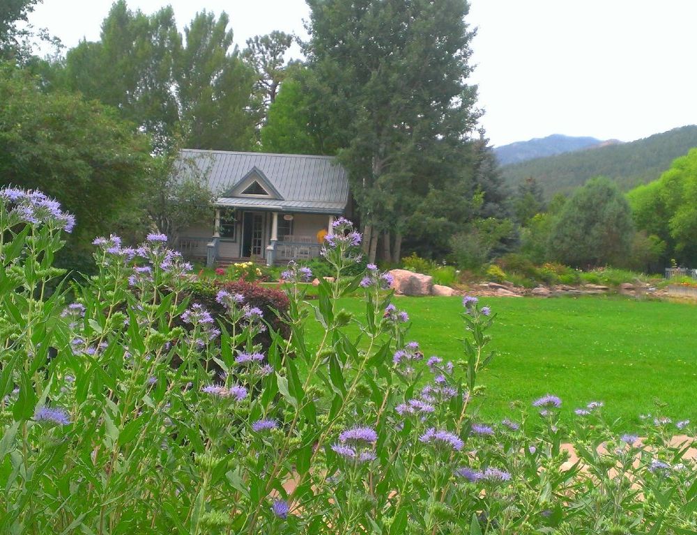 Outdoor Pictures 4