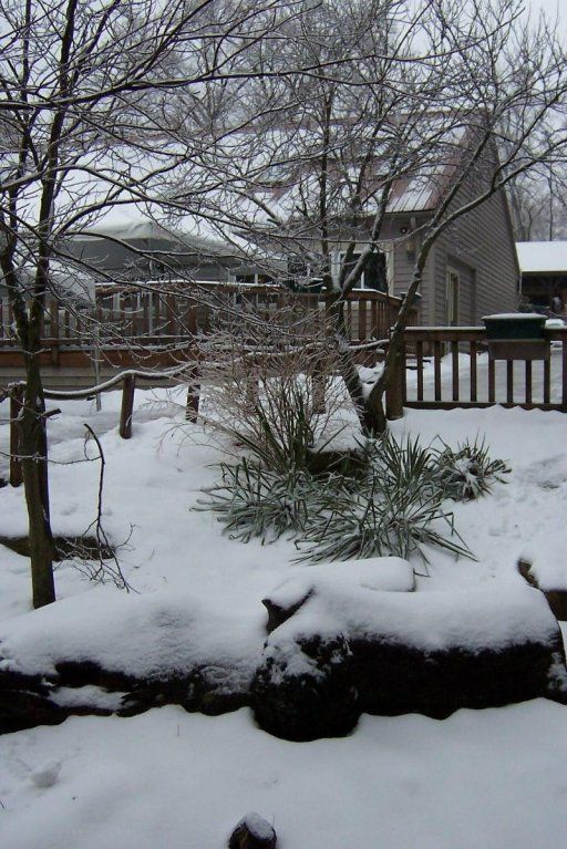 Outdoor Pictures 9