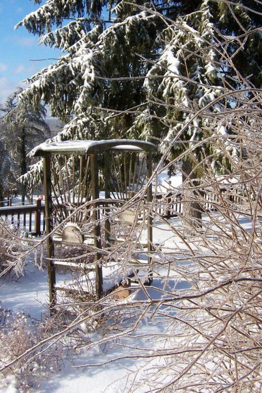 Outdoor Pictures 10