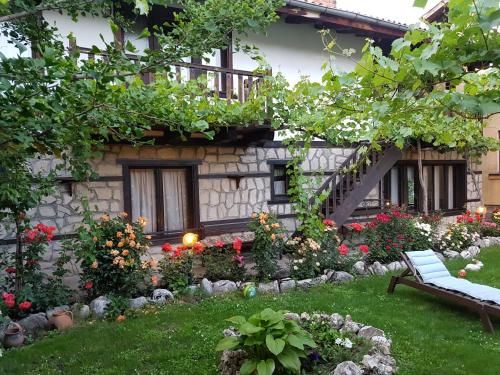 Outdoor Pictures 7