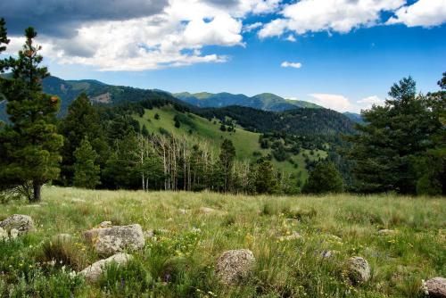 Outdoor Pictures 24