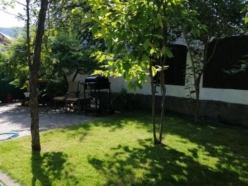 Outdoor Pictures 20