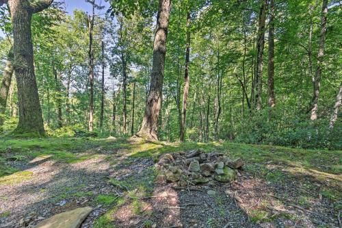 Outdoor Pictures 21