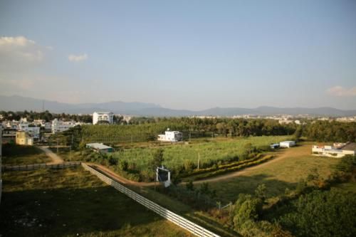 Outdoor Pictures 13