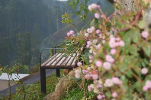 Outdoor Pictures 10