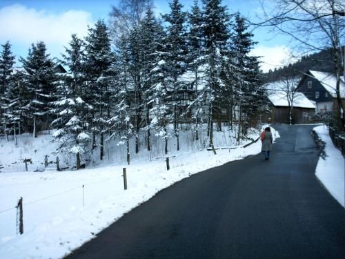 Outdoor Pictures 15