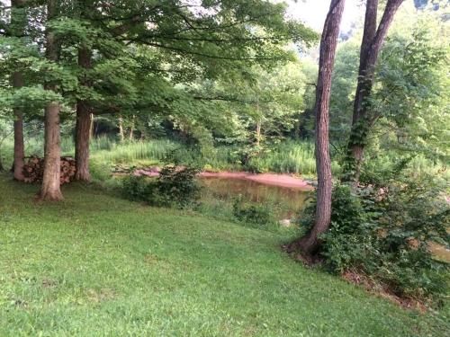 Outdoor Pictures 10