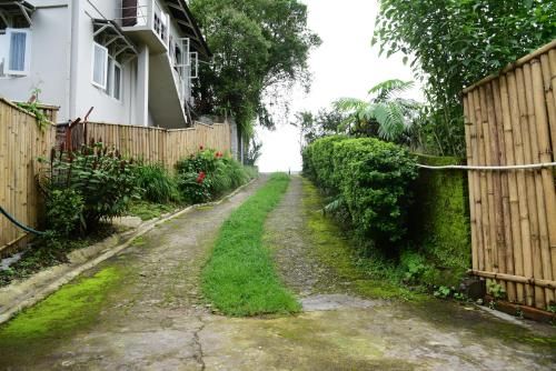 Outdoor Pictures 5