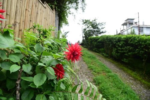 Outdoor Pictures 8
