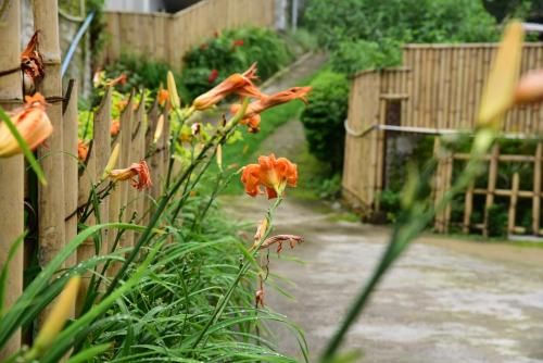 Outdoor Pictures 9