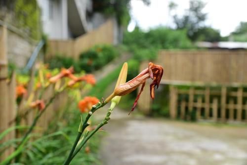 Outdoor Pictures 10