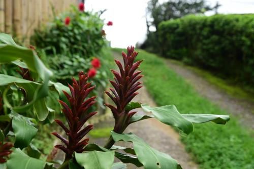 Outdoor Pictures 12