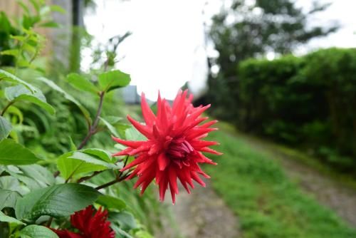 Outdoor Pictures 14