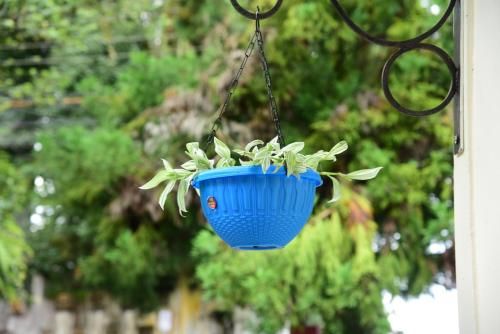 Outdoor Pictures 23