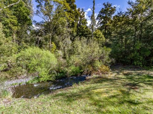 Outdoor Pictures 24