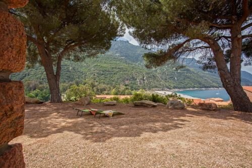 Outdoor Pictures 23