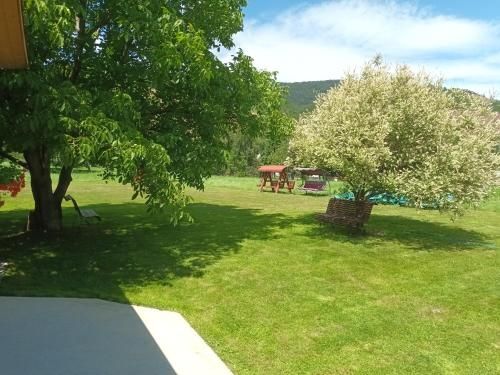 Outdoor Pictures 23