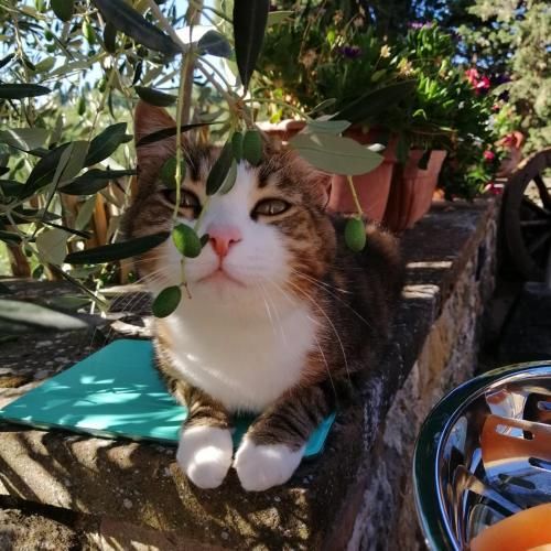 Outdoor Pictures 15