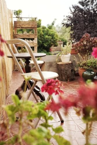 Outdoor Pictures 17