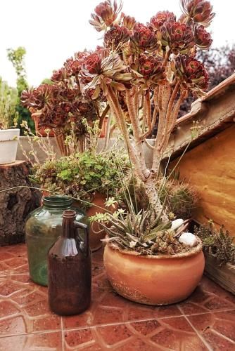 Outdoor Pictures 24