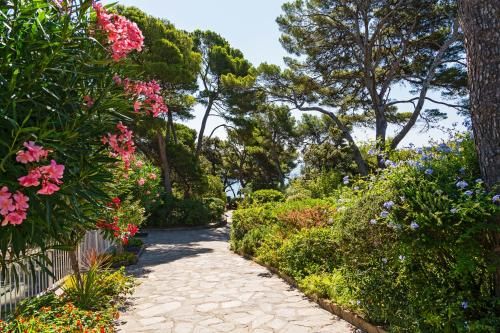 Outdoor Pictures 23
