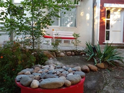Outdoor Pictures 22
