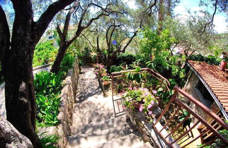Elena Guest House