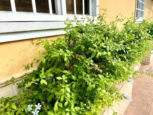 Outdoor Pictures 9