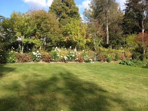 Outdoor Pictures 19