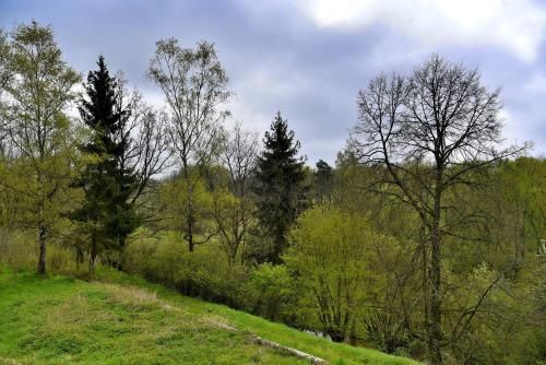 Outdoor Pictures 8