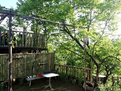 Outdoor Pictures 3