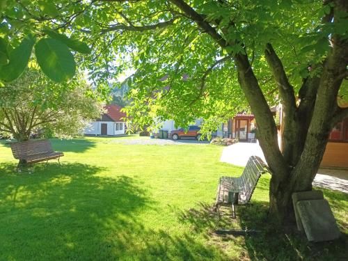 Outdoor Pictures 24