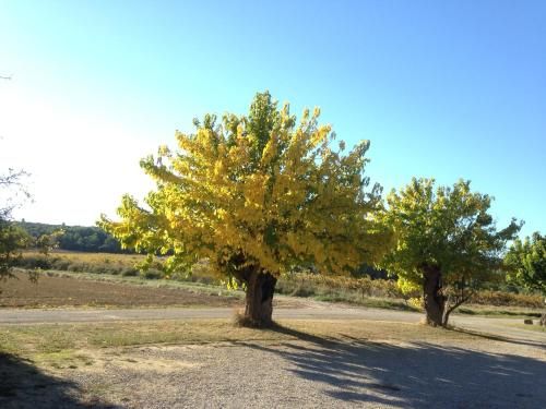 Outdoor Pictures 7
