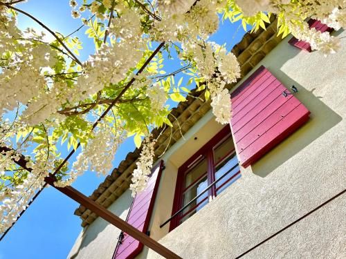 Outdoor Pictures 12